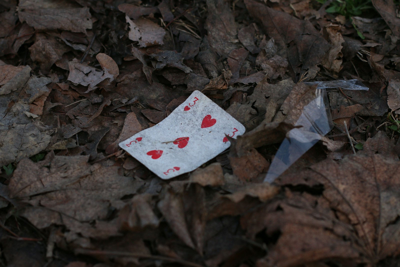 a broken playing card laying on the ground